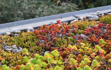 the cost of Glen Parva green roof installation