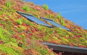 Glen Parva living roof systems